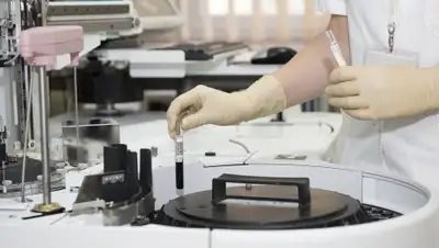 Zakon.kz, фото - Новости Zakon.kz от 30.05.2019 10:41