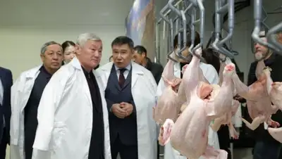 Zakon.kz, фото - Новости Zakon.kz от 07.06.2017 19:30