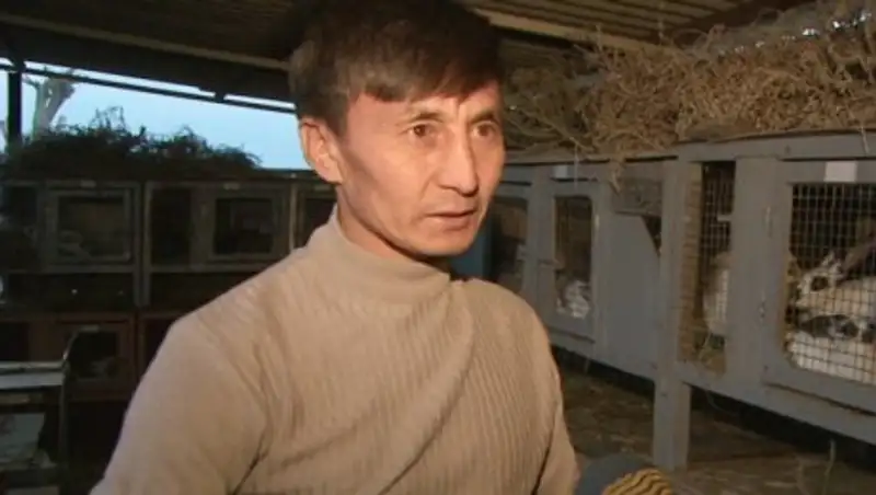 Разведение кроликов становится популярным в Алматинской области