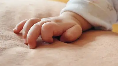 Pixabay, фото - Новости Zakon.kz от 28.11.2019 06:35