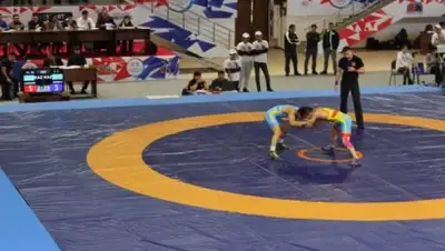 Управление спорта Жамбылской области, фото - Новости Zakon.kz от 28.11.2018 12:14