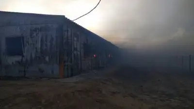 КЧС МВД РК, фото - Новости Zakon.kz от 02.03.2018 12:41