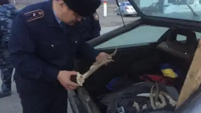 Zakon.kz, фото - Новости Zakon.kz от 31.03.2016 22:08