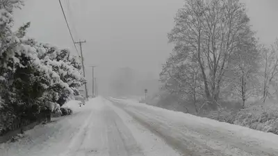 зима, фото - Новости Zakon.kz от 25.01.2023 23:43