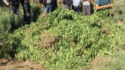 Zakon.kz, фото - Новости Zakon.kz от 17.08.2017 16:13