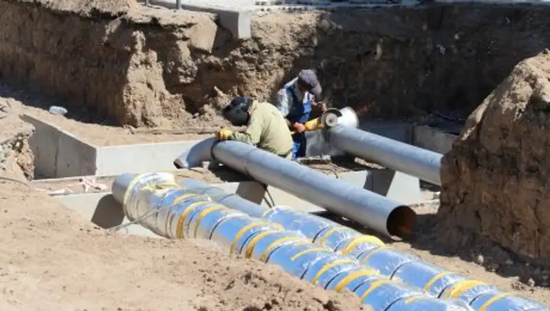 В ЗКО выделены микрокредиты на сумму более 4 млрд тенге на развитие сельского бизнеса