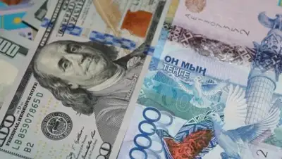 Zakon.kz, фото - Новости Zakon.kz от 12.06.2017 18:41