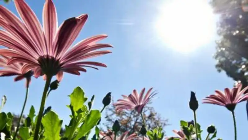 Какая погода ждет казахстанцев в выходные