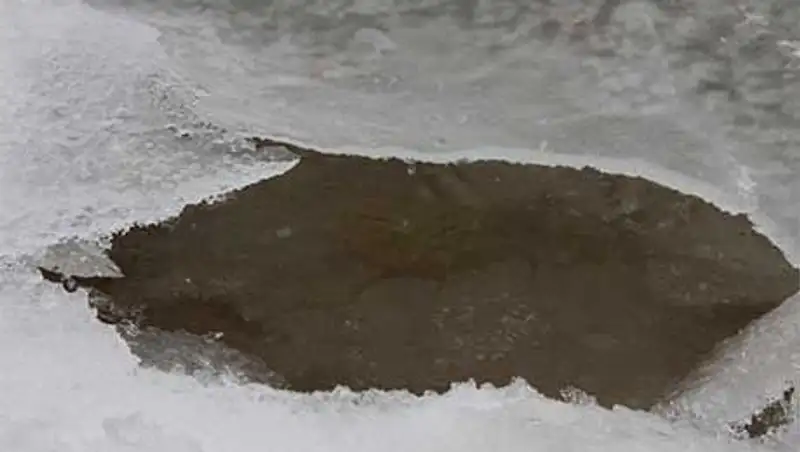 В Алматы двух полицейских наградили за спасение тонувших детей