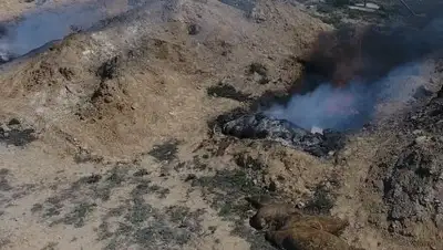 Zakon.kz, фото - Новости Zakon.kz от 27.04.2017 06:04