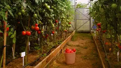 Zakon.kz, фото - Новости Zakon.kz от 03.01.2014 15:57