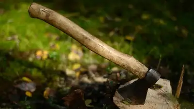 Zakon.kz, фото - Новости Zakon.kz от 09.07.2015 23:49