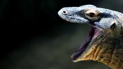 Zakon.kz, фото - Новости Zakon.kz от 04.05.2017 18:56