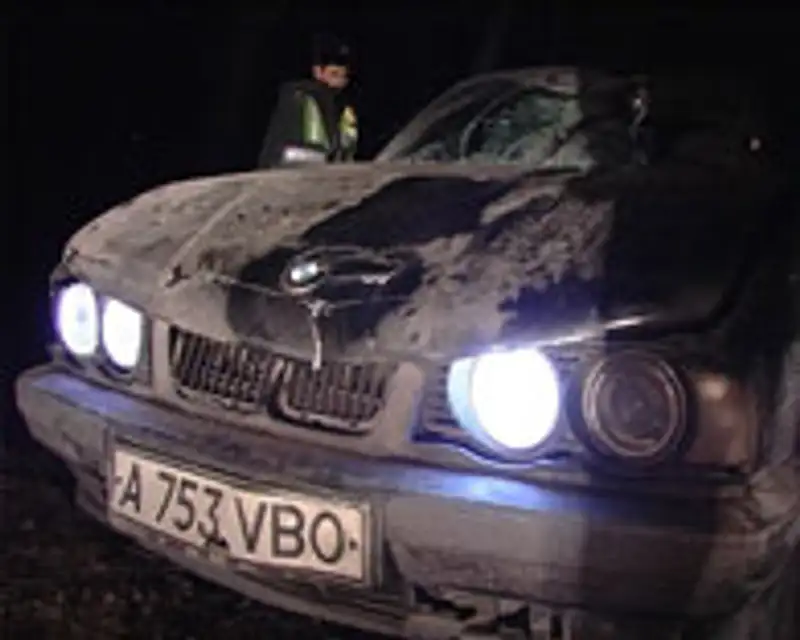 Водитель BMW сбивший полицейского в Алматы был трезв - ДВД, фото - Новости Zakon.kz от 08.12.2011 22:21