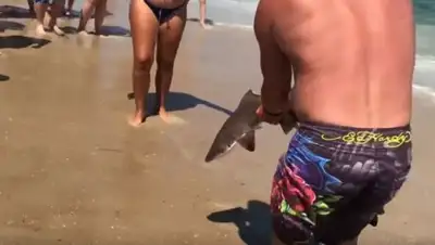 Zakon.kz, фото - Новости Zakon.kz от 20.07.2017 20:39