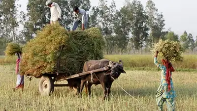 Zakon.kz, фото - Новости Zakon.kz от 03.06.2015 01:54