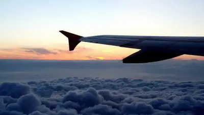 pixabay.com, фото - Новости Zakon.kz от 10.02.2020 11:57