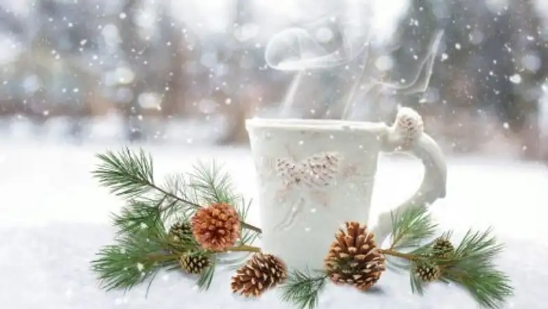 31 января в Казахстане ожидаются осадки