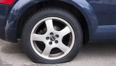 pixabay.com, фото - Новости Zakon.kz от 23.08.2021 12:44