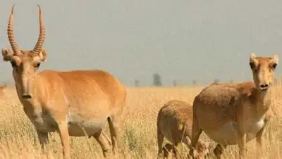 Zakon.kz, фото - Новости Zakon.kz от 21.09.2016 23:16