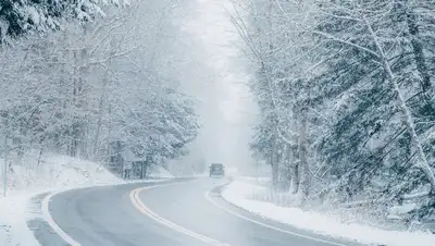 метель, плохая видимость, фото - Новости Zakon.kz от 16.03.2022 09:33