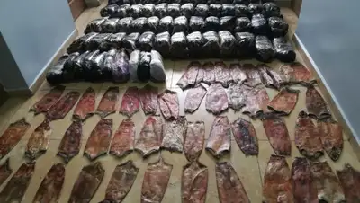 пресс-служба ДП Алматинской области, фото - Новости Zakon.kz от 11.03.2019 12:36