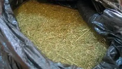 Zakon.kz, фото - Новости Zakon.kz от 26.12.2014 22:09