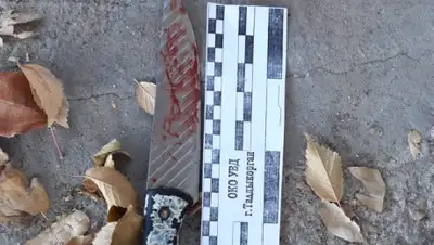 пресс-служба ДП Алматинской области, фото - Новости Zakon.kz от 08.11.2019 16:25