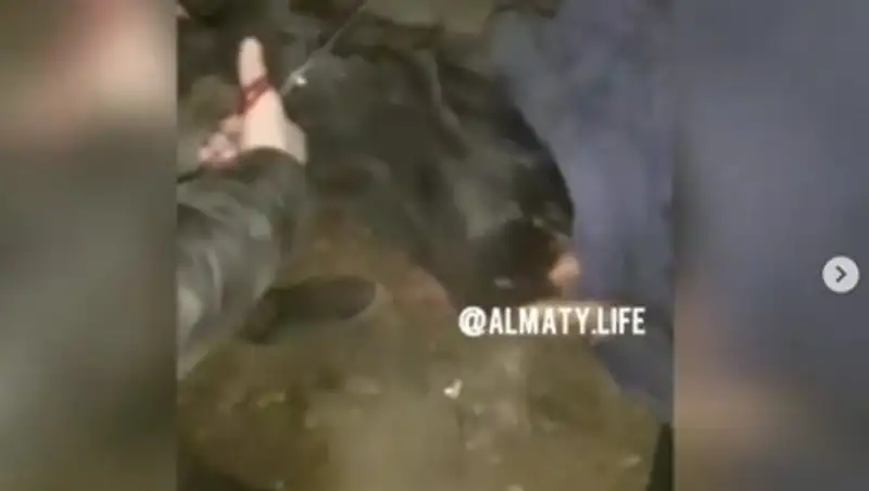 В МВД прокомментировали видео, где девушки издеваются над сверстницей