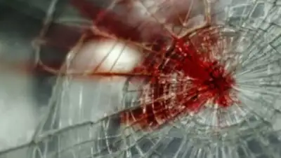 Zakon.kz, фото - Новости Zakon.kz от 12.06.2015 17:24