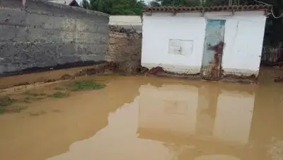 Zakon.kz, фото - Новости Zakon.kz от 26.05.2017 21:25