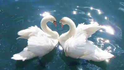 Zakon.kz, фото - Новости Zakon.kz от 08.07.2016 22:30