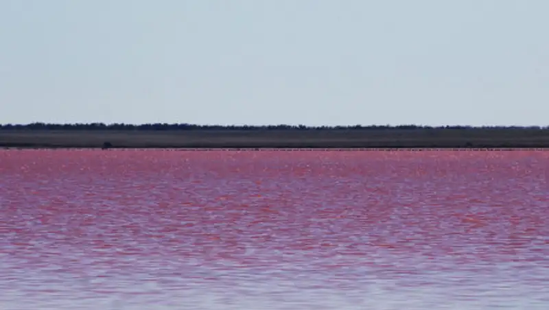 Грозит ли павлодарскому "розовому" озеру участь Кобейтуза