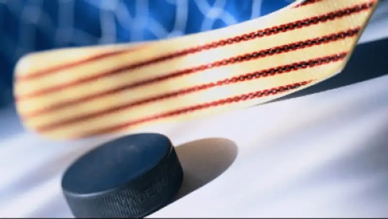 Словакия осталась единственным кандидатом на проведение ЧМ по хоккею 2019 года