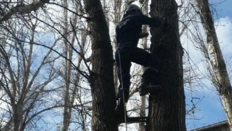 В Жамбылской области активно ведутся ремонтно-восстановительные работы