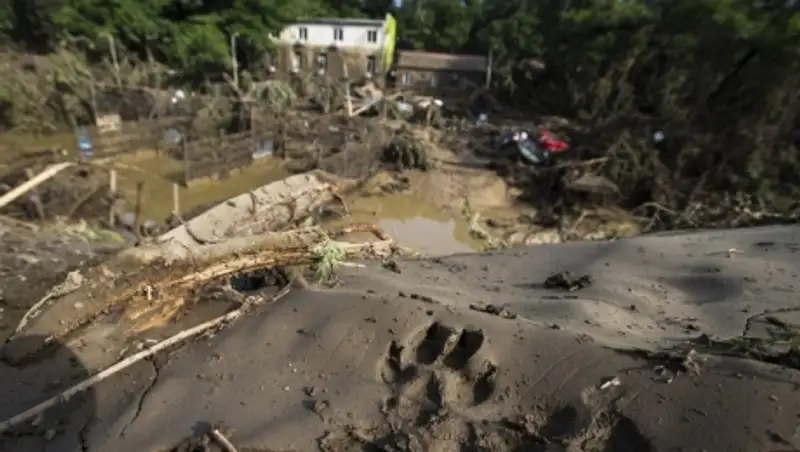 В Тбилиси проведена масштабная дезинфекция территорий, пострадавших от наводнения
