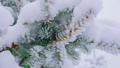 рк, погода, прогноз, казгидромет, фото - Новости Zakon.kz от 24.12.2021 15:35