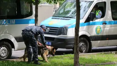 собака, фото - Новости Zakon.kz от 15.05.2022 14:38