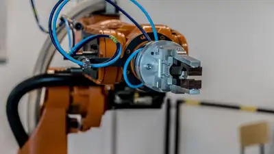 Школьница из Кентау создала робота, танцующего "Қара жорға", фото - Новости Zakon.kz от 24.03.2023 14:24