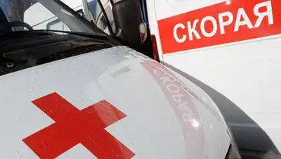 Zakon.kz, фото - Новости Zakon.kz от 29.12.2016 17:20