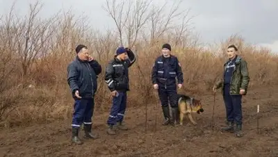 inform.kz, фото - Новости Zakon.kz от 23.04.2018 10:21