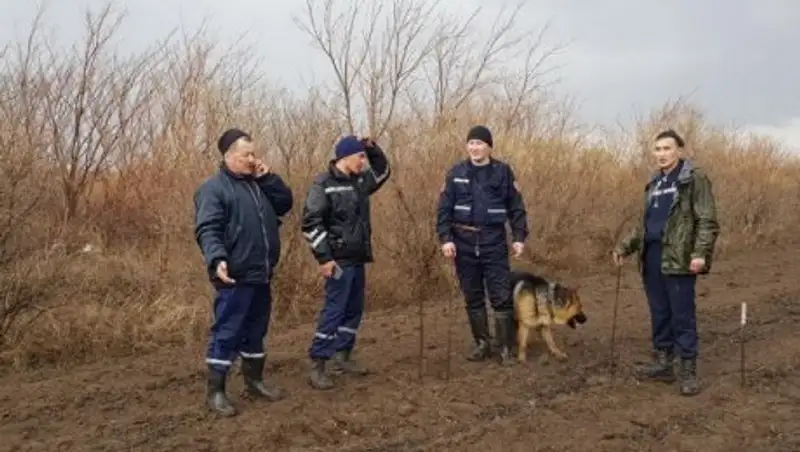 В Акмолинской области в лесу нашли тело пропавшей 77-летней женщины