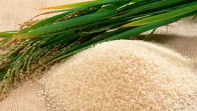 Zakon.kz, фото - Новости Zakon.kz от 12.01.2015 16:01