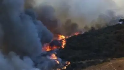 Zakon.kz, фото - Новости Zakon.kz от 16.08.2016 03:22