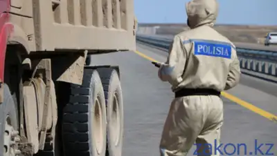 zakon.kz, фото - Новости Zakon.kz от 14.04.2020 14:31