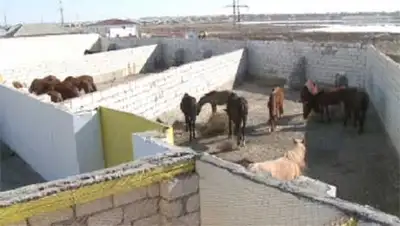 Zakon.kz, фото - Новости Zakon.kz от 18.10.2013 15:40