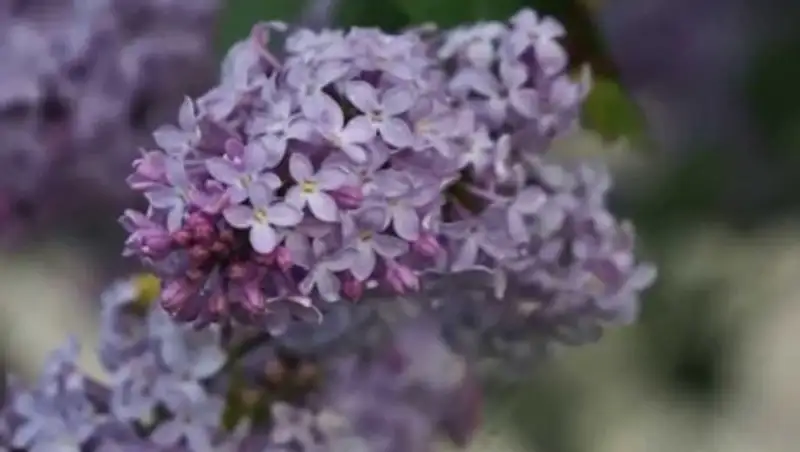 В Казахстане 14 мая прогнозируют дождь и усиление ветра