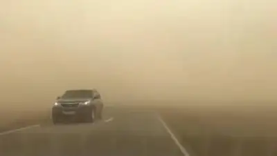 stv24.tv, фото - Новости Zakon.kz от 07.07.2021 22:12