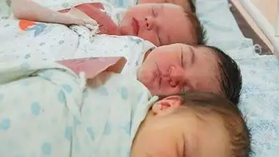 Zakon.kz, фото - Новости Zakon.kz от 08.03.2014 01:45