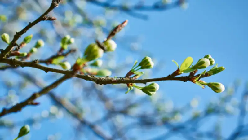 19 марта в Казахстане ожидается ясная погода